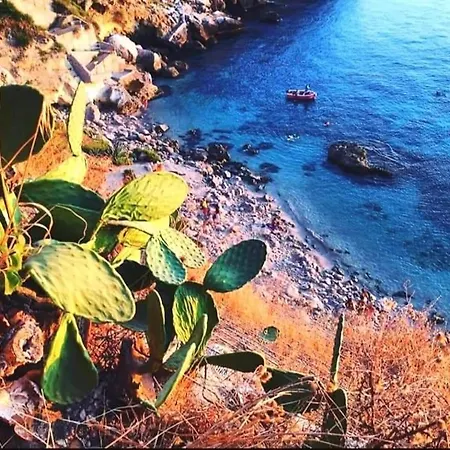 Vanella Grande Aspra